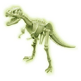 Glow T-Rex Skeleton DIY Kit Puzzle