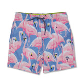 Boys Trunks | Shady Flamingos