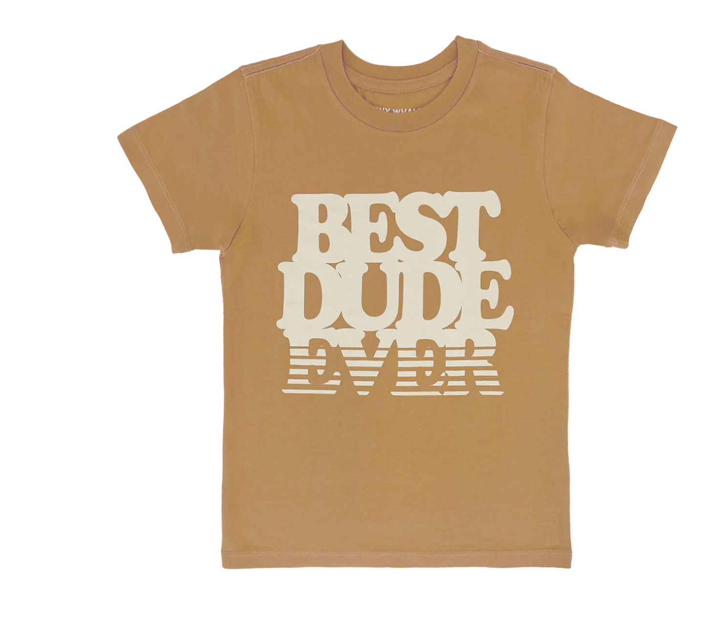 Tee Shirt- Best Dude Ever