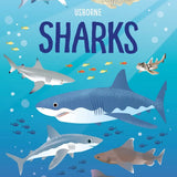 Book and Jigsaw Puzzle | Sharks
