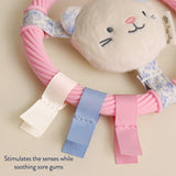 Teething Ring with Plush Character - Pink Kitty