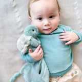 Taylor The Turtle Blankie