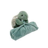 Taylor The Turtle Blankie