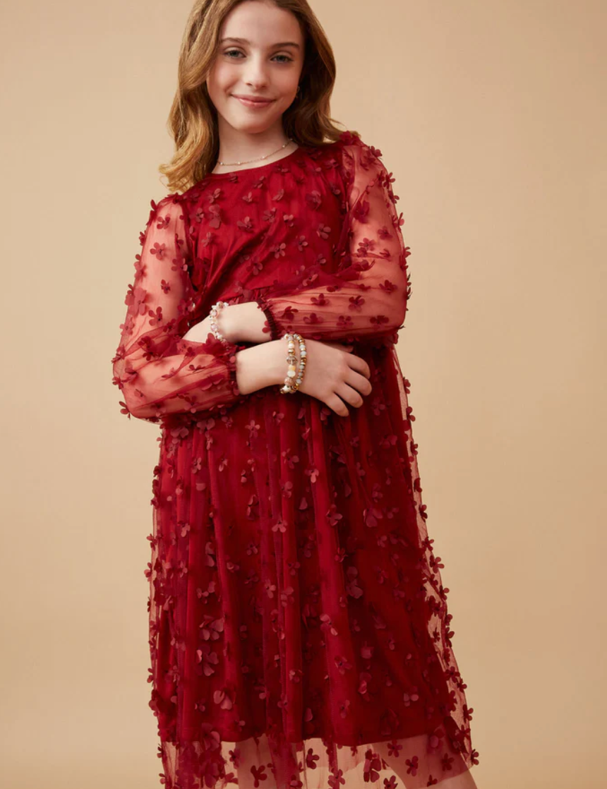 Girls Floral Applique Long Sleeve Mesh Dress- Burgundy