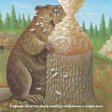 Who Will Plant a Tree Picture Book