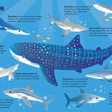 Book and Jigsaw Puzzle | Sharks