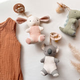 Bitzy Pal Natural Rubber Pacifier & Plush