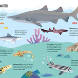 Book and Jigsaw Puzzle | Sharks