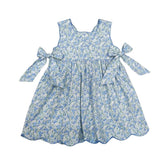 Eloise Dress Bells of Blue