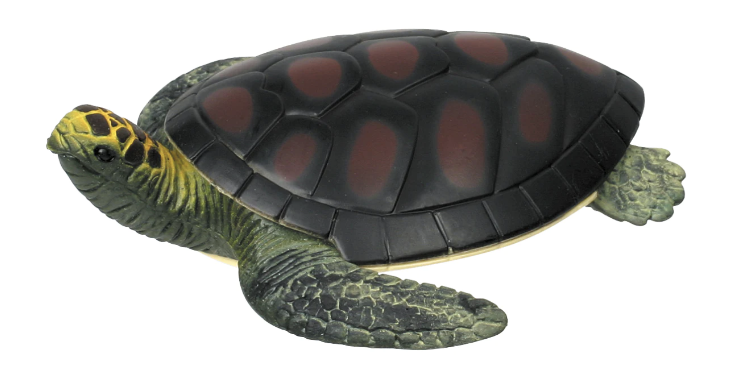 Turtle Squishimals - Stretch Turtle – Tweedle Beedle