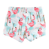 Vibrant Flamingo Swim Shorties