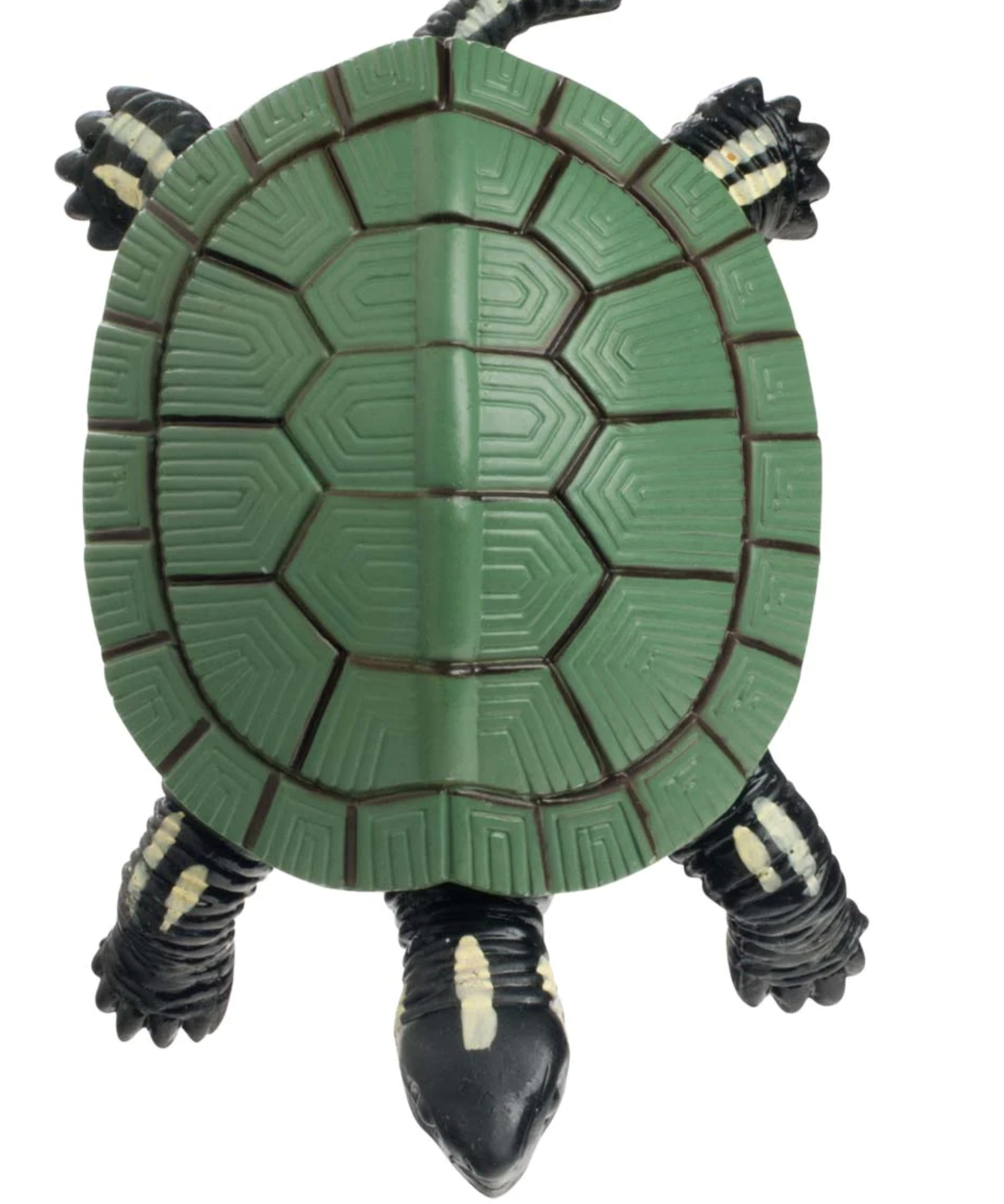 Turtle Squishimals - Stretch Turtle – Tweedle Beedle