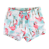 Vibrant Flamingo Swim Shorties