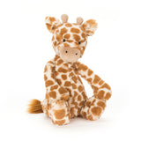 Bashful Giraffe | Size Options