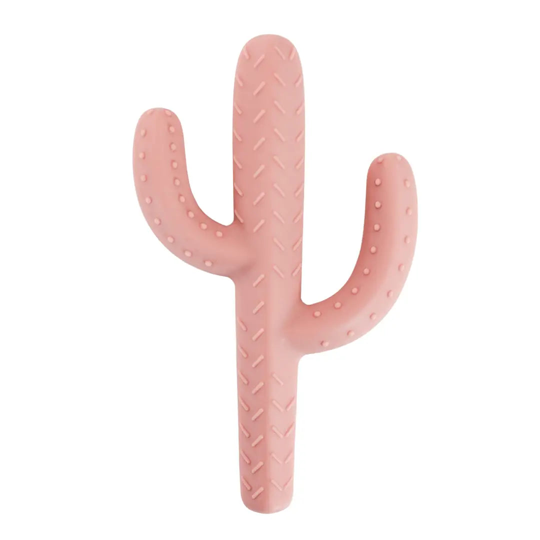 Cactus Teether Toy