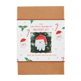 Santa Handprint Kit