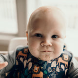 Zoo Lion Silicone Bib with Crumb Catcher